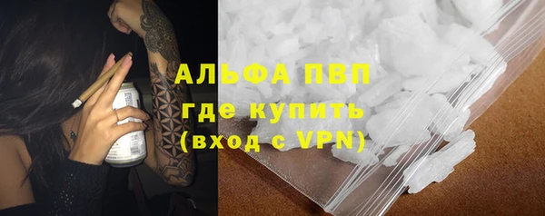 гашик Алексин