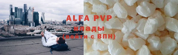 гашик Алексин