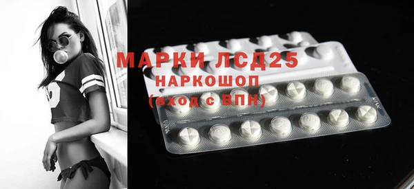 гашик Алексин