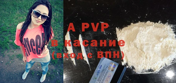 стафф Каменск-Шахтинский