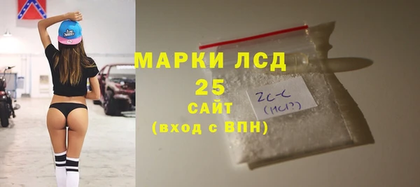 гашик Алексин