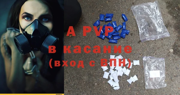 гашик Алексин