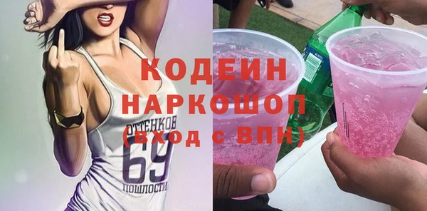 гашик Алексин