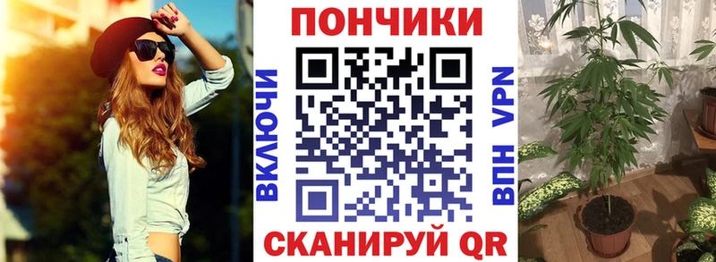 Шишки марихуана планчик  Ипатово 